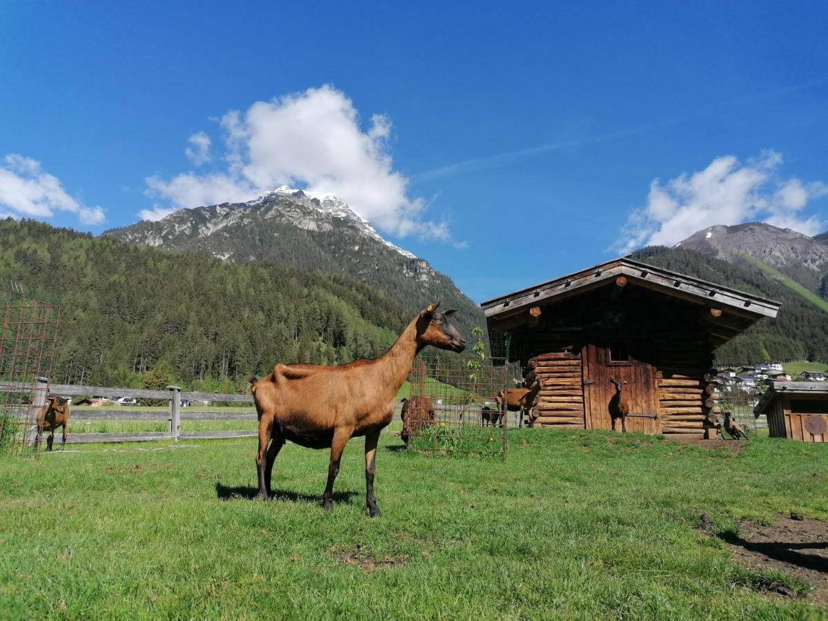 Schottenhof Fulpmes Esterno foto