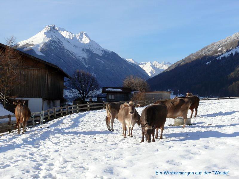 Schottenhof Fulpmes Esterno foto