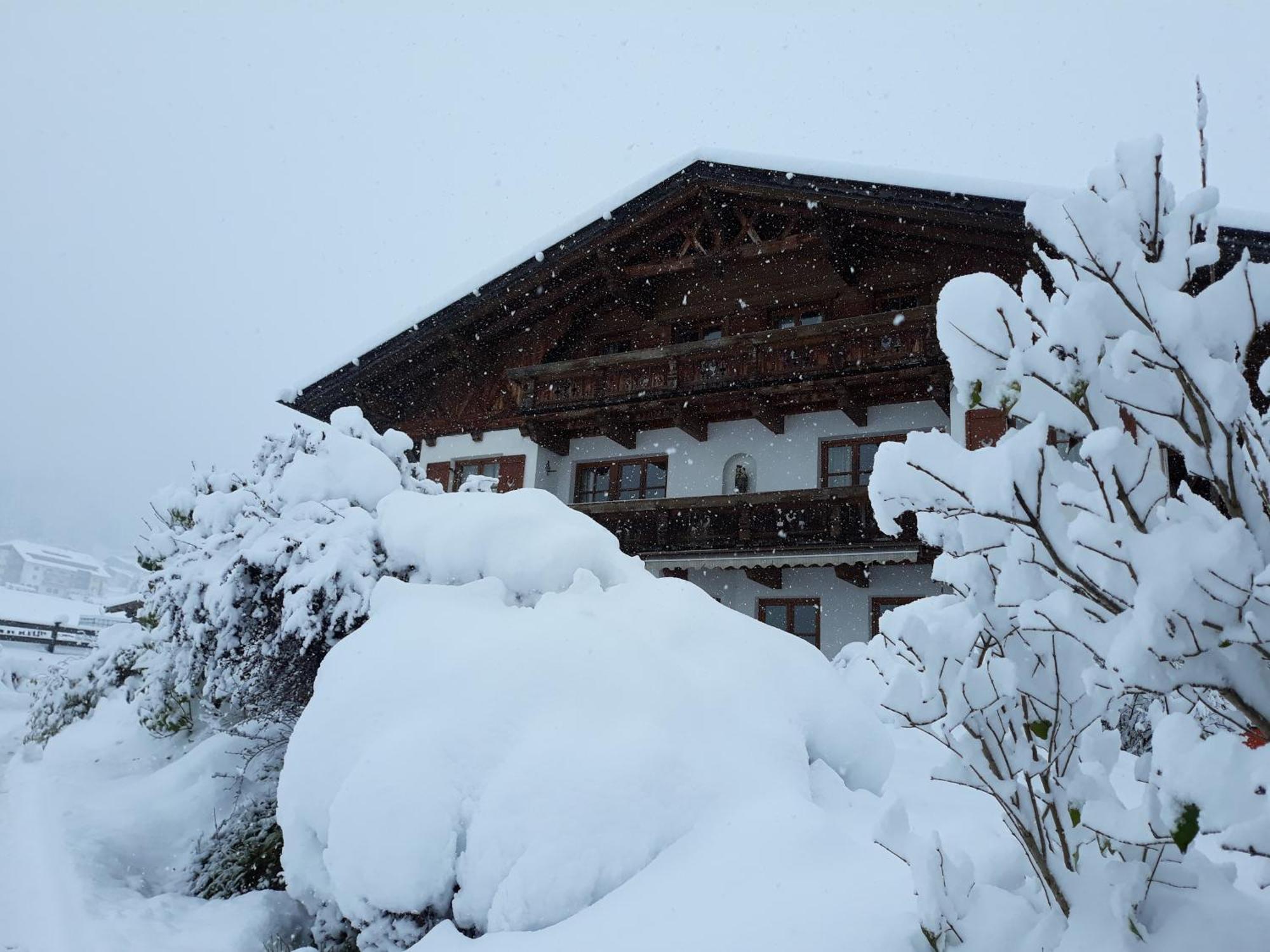 Schottenhof Fulpmes Esterno foto