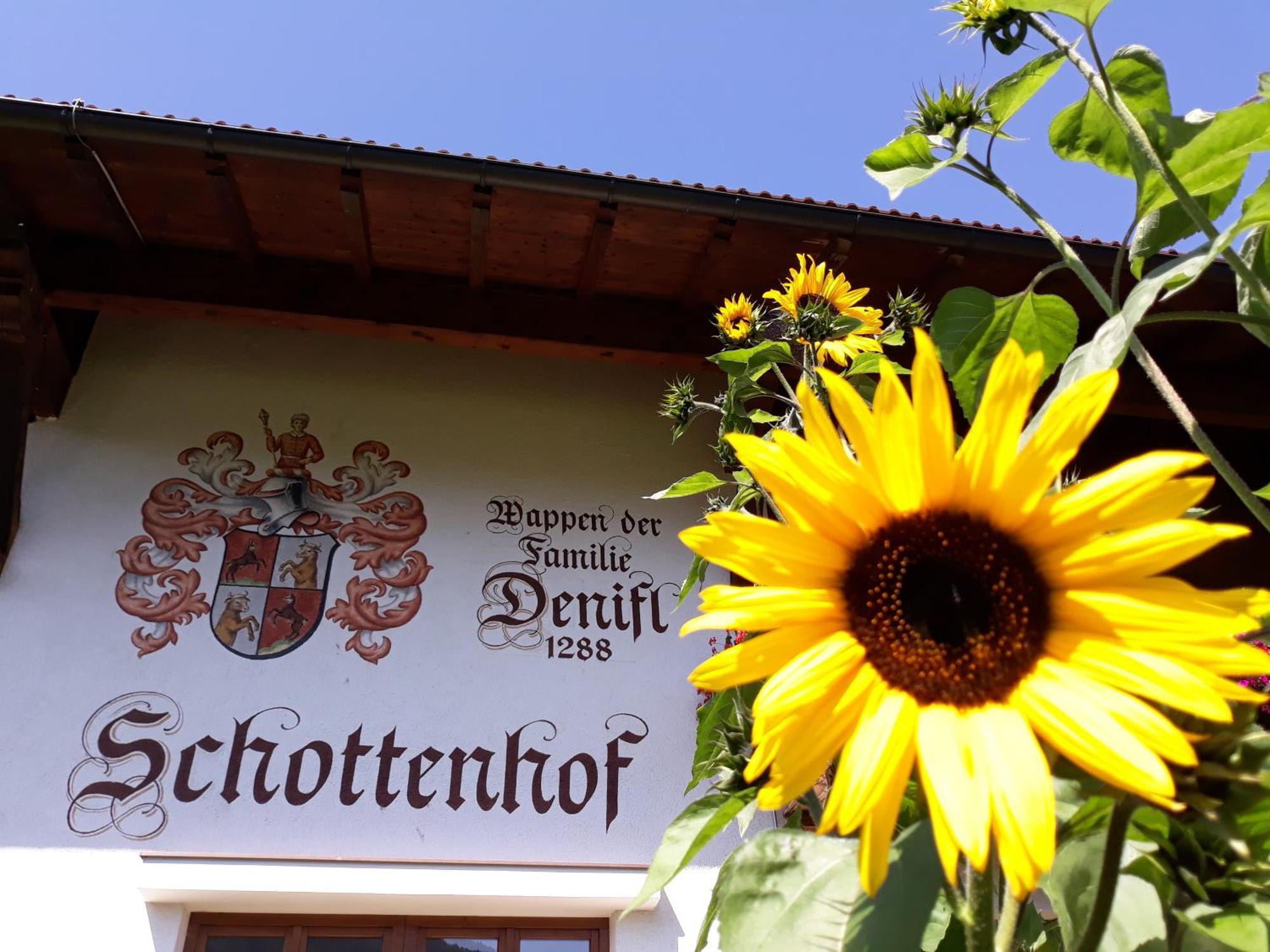 Schottenhof Fulpmes Esterno foto
