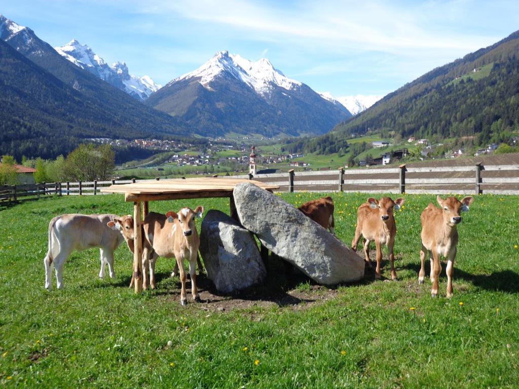 Schottenhof Fulpmes Esterno foto
