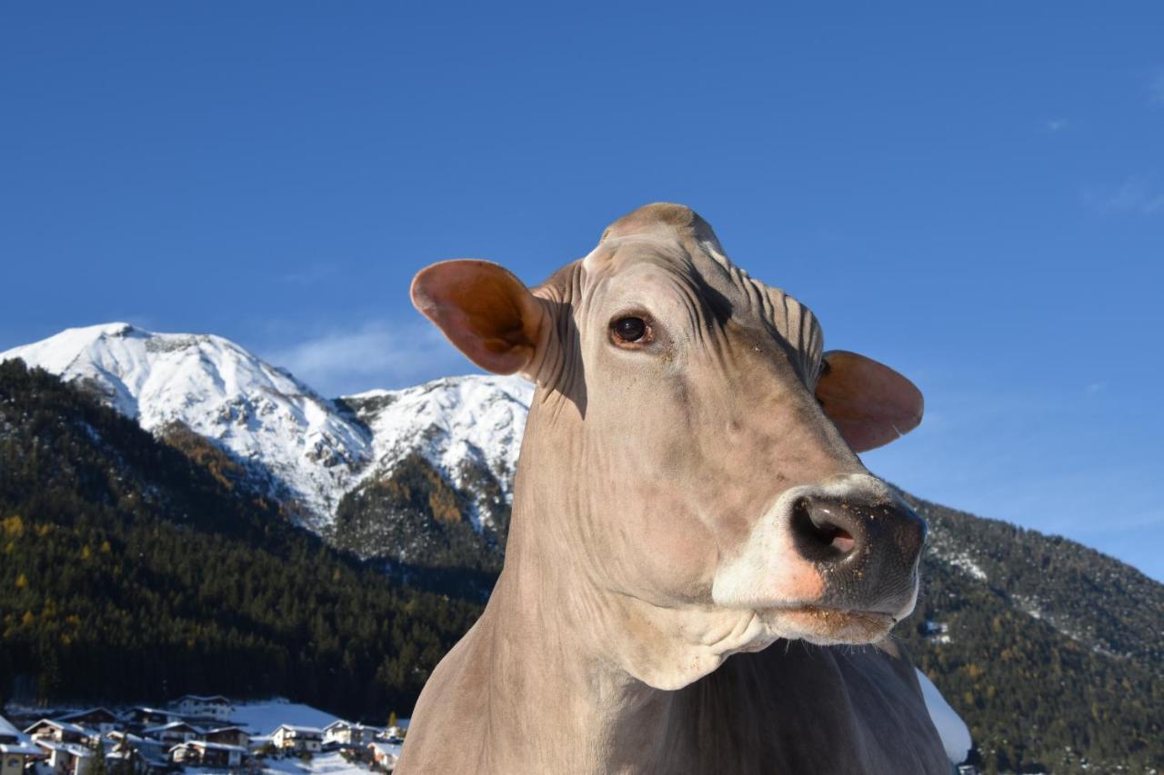 Schottenhof Fulpmes Esterno foto